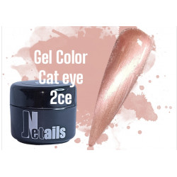 Gel color  Cat Eye  2CE   5 gr