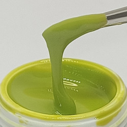 Gel Color N° 209 verde alga